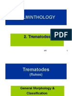 FLUKE MORPHOLOGY AND CLASSIFICATION