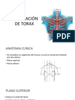 Exploracion de Torax