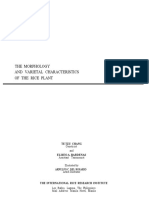 Download Morphology of the Rice Plant by foreversk SN294707058 doc pdf