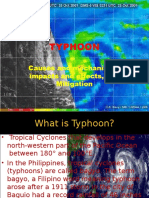 Typhoon: Causes and Mechanisms, Impacts and Effects, and Mitigation