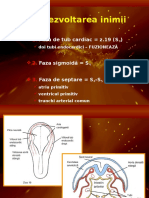 Embriologie Sistem Cardiovascular