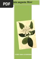 Download Gardenia augusta Merr by Febry Dian Sinaga SN294749505 doc pdf