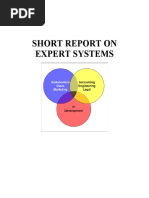 Short Report On Expert Systems