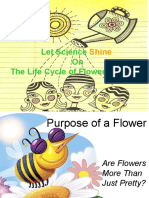 Parts of A Flower