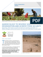 agroecologiapararevertirladegradaciondelsueloyconsolidarlaseguridadalimentaria.pdf