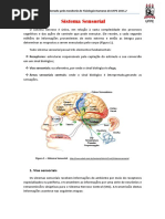 #Resumo sensações#