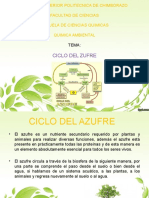 Ciclo Del Azufre (Presentacion)