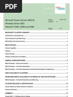 Fujitsu e Microsoft Cluster Services With FibreCAT SX