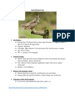 Greathornedowl Natalyd