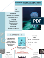 Clase 4. Carbono y Biomoléculas