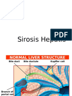 Sirosis Hepatis