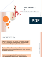 Salmonella