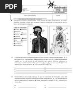Teste de Avaliação C. Naturais 9º