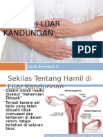 Promosi Kesehatan Kehamilan Ektopik
