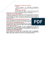 Enumerar y Explicar Cuales Son Los Principios Del Derecho Laboral, Así Como El Principio Protector