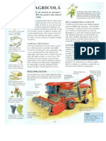 Enciclopedia Copiilor Vol 2