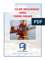 Manual de Seguridad Torre Gruas 2011.pdf