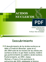 Acidos Nucleicos