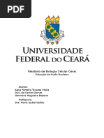 Extração de Ácido Nucleico