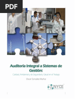 Auditoria Integral A Sistemas de Gestion