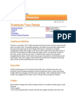 Trombosis Vena Dalam: Gambaran Ikhtisar