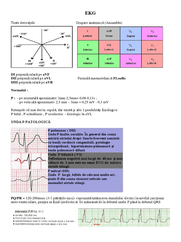 Ekg Normal | PDF