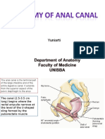 Anatomy of Anal Canal