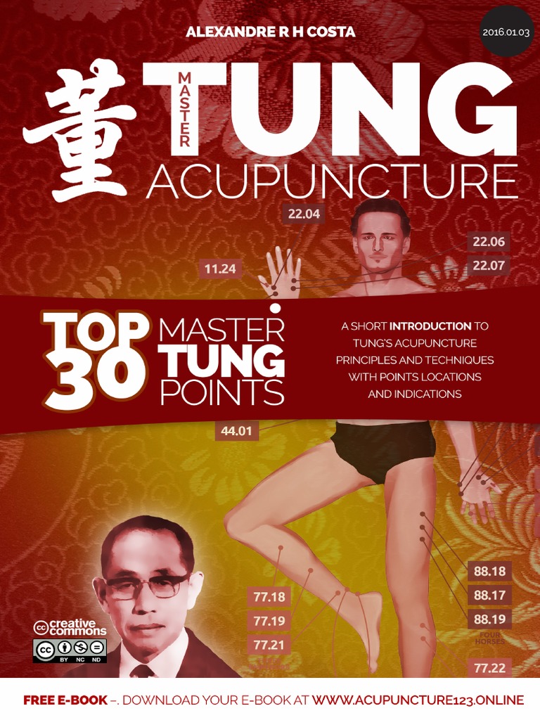 Master Tung PDF Hand Acupuncture