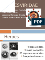 Herpes Viri Dae
