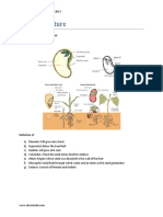 SeeSeed Structure