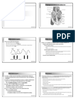 Cardiologia Diapositivas 2004-2005