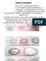 LP 1 Embriologie (Integral)