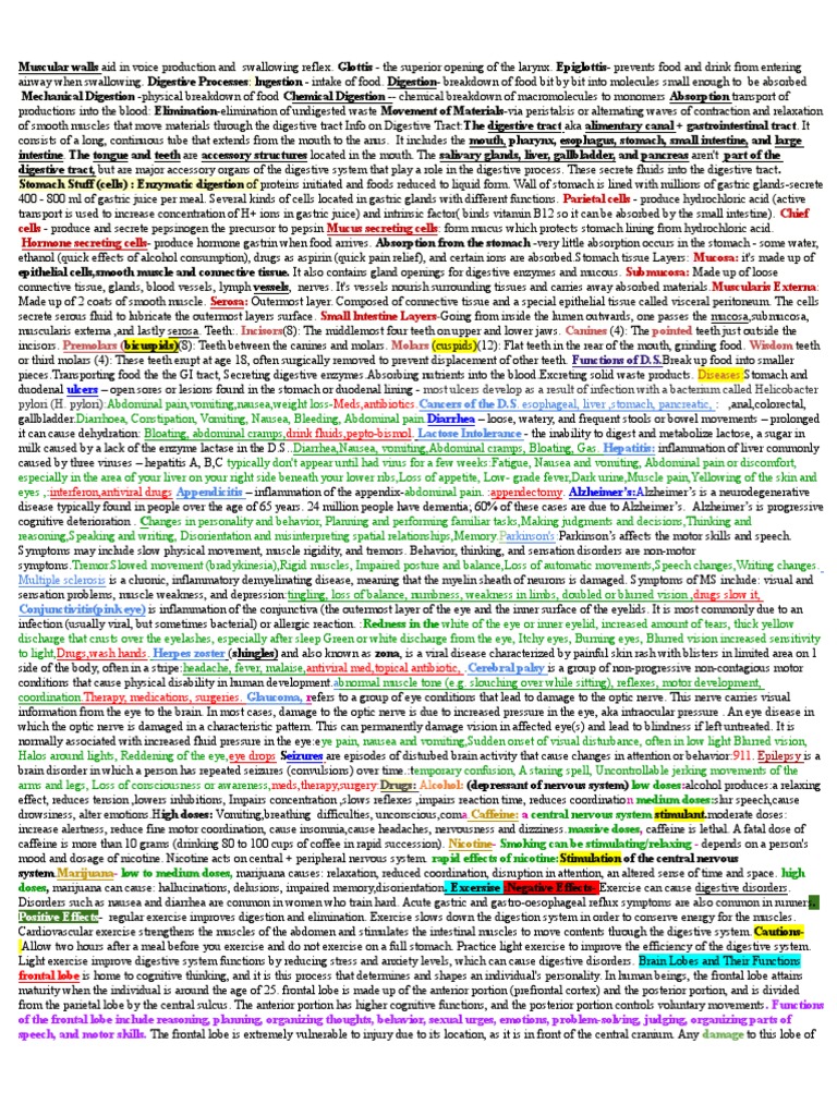 Anatomy Cheat Sheet | Parietal Lobe | Human Digestive System