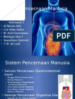 Sistempencernaanmanusia 131003011851 Phpapp02