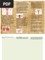 Female Reproductive System Diseases