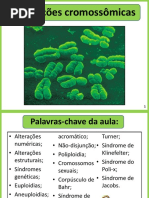 Alterações Cromossômicas Com Revisão de Divisão Celular