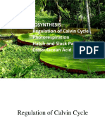 Photosynthesis 06112012 PDF