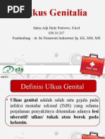 Download Ulkus Genitalia by Satria Adji SN294976187 doc pdf