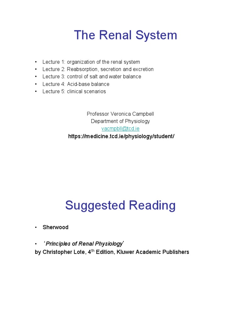 Kidney 1 | PDF | Renal Function | Kidney