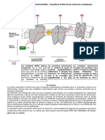 Chaine.respiratoire.mitochondriale