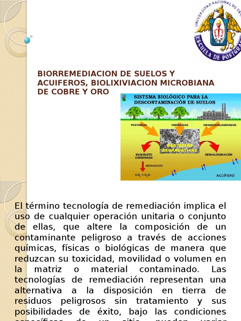 Biorremediacion suelos | Compost | Remediación ambiental