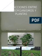 s3-Interacciones Entre Microorganismos y Plantas