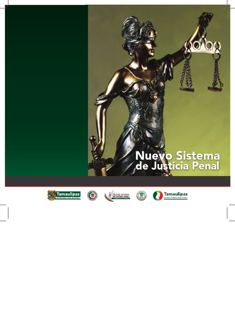 Manual del Nuevo Sistema Penal | PDF | Derecho