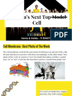 cell analogy - americas next top model  velda   vania 
