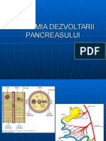 Anatomia Dezvoltarii Pancreasului