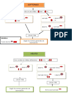 Diptongo e Hiato, Explicación Gráfica