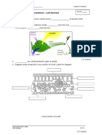 WORKSHEET 6.7 Photosynthesis- Leaf Structure