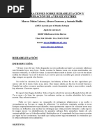 Rehabilitación y liberación de aves silvestres