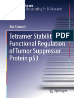 Tetramer Stability and Functional Regulation of Tumor Suppressor Protein p53 