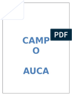 Campo Auca
